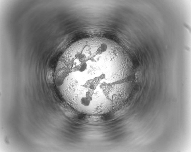 X0000093410671200711020956