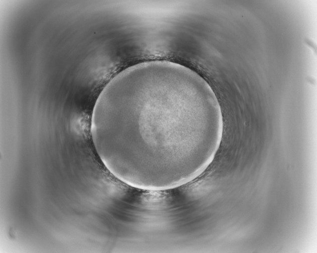 X0000093410672200711020956