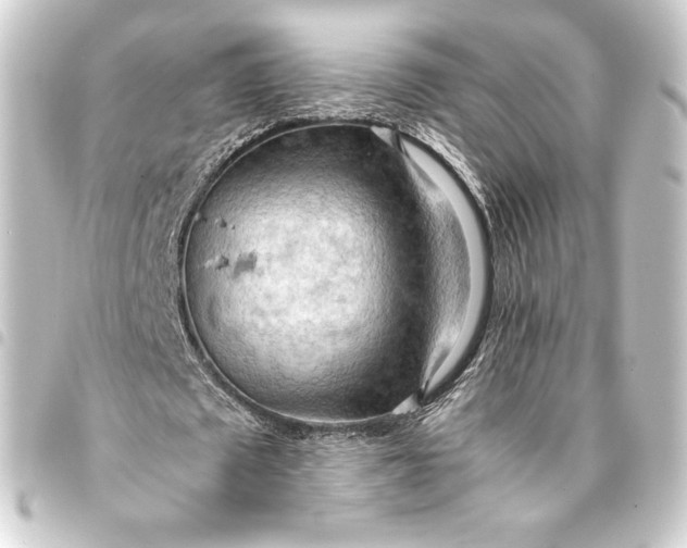 X0000093410673200711020956