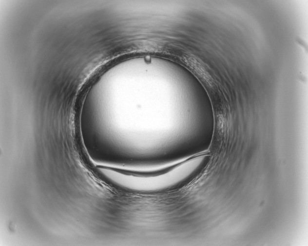 X0000093410676200711020956