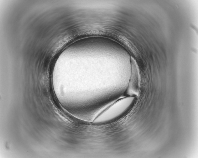 X0000093410677200711020956