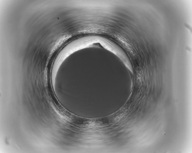 X0000093410678200711020956