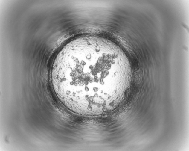 X0000093410679200711020956