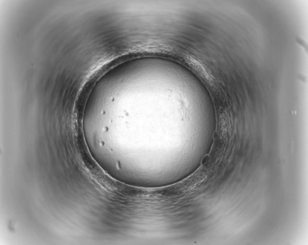 X0000093410680200711020956