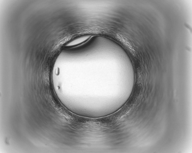 X0000093410681200711020956