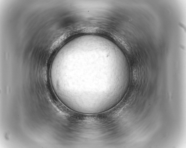 X0000093410682200711020956