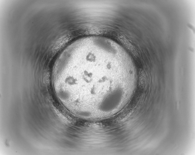 X0000093410683200711020955