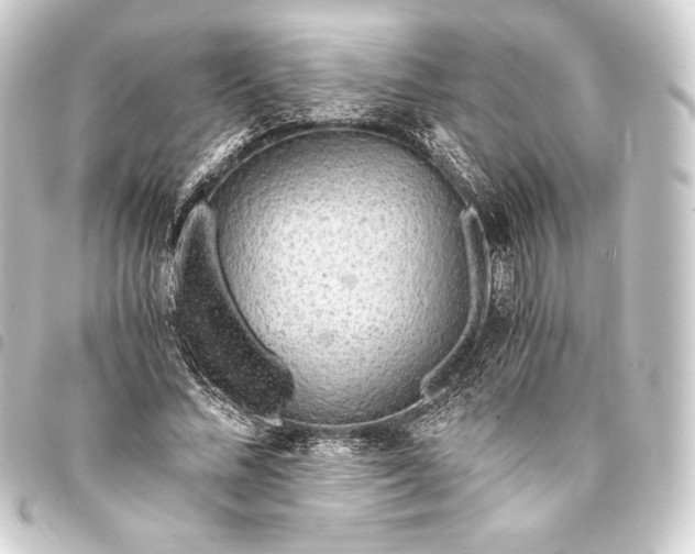 X0000093410684200711020955