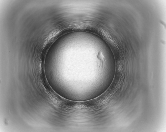 X0000093410685200711020955