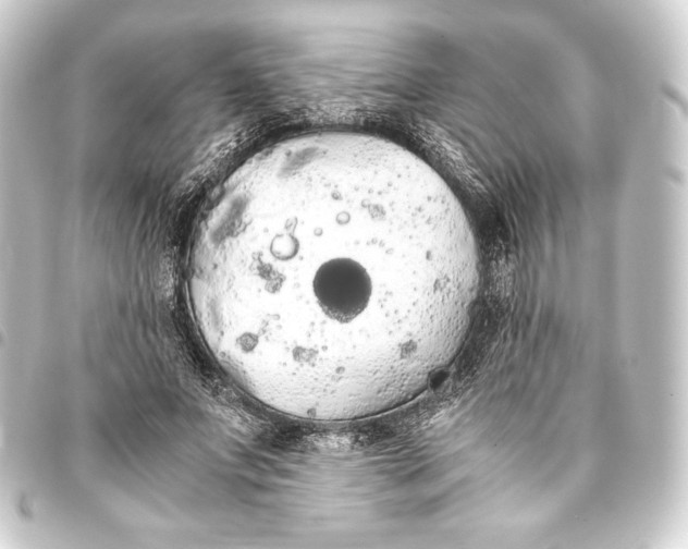 X0000093410687200711020955