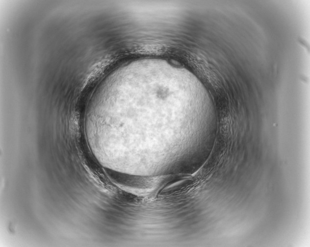 X0000093410688200711020955