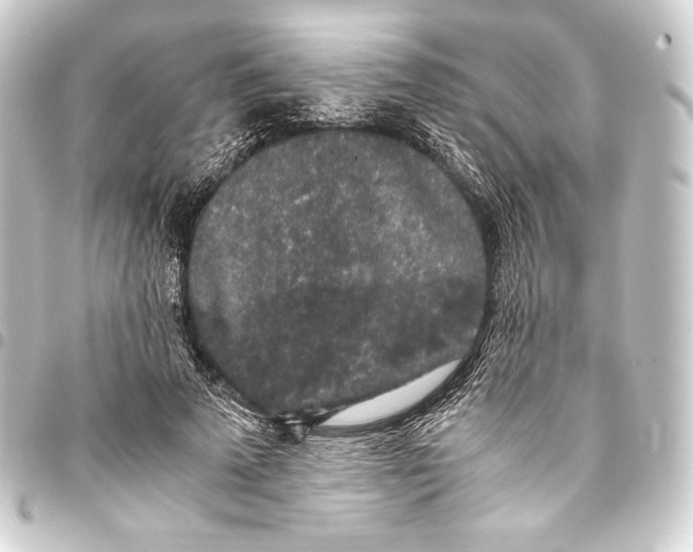 X0000093410689200711020955