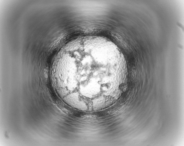 X0000093410691200711020955