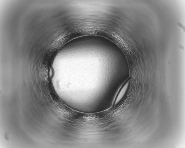 X0000093410693200711020955