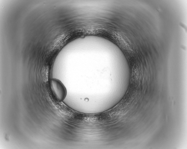 X0000093410694200711020955