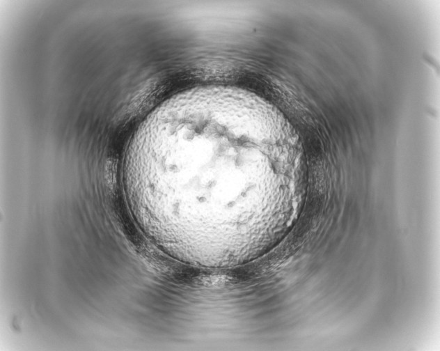 X0000093410695200711020955