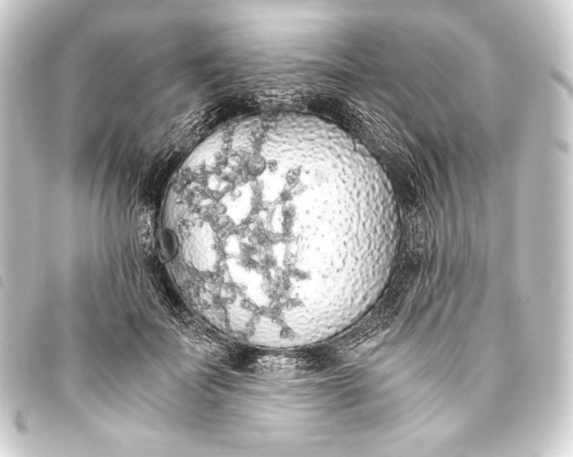 X0000093410699200711020955