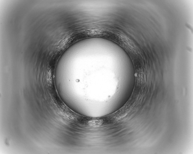 X0000093410700200711020955