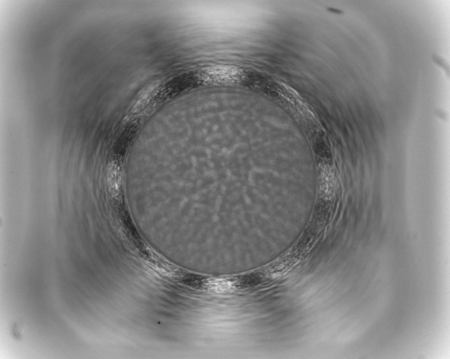 X0000093410701200711020955