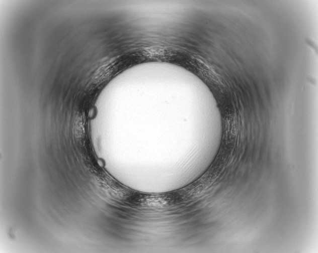 X0000093410702200711020955