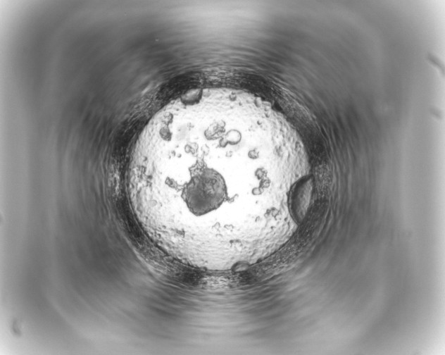 X0000093410703200711020955