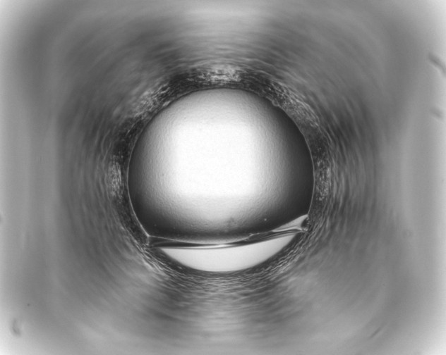 X0000093410704200711020955