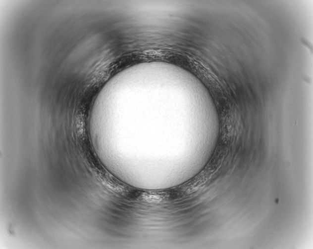 X0000093410706200711020955