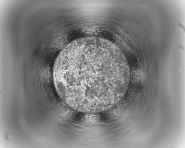 X0000093410707200711020955