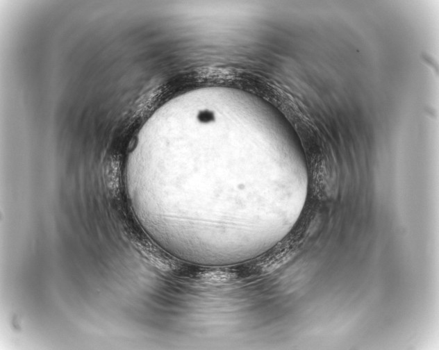 X0000093410708200711020955