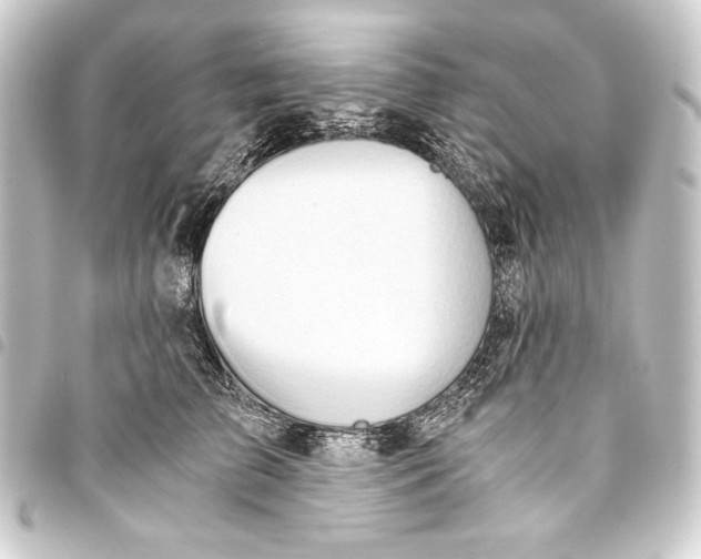 X0000093410709200711020955