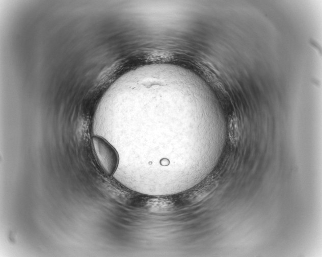 X0000093410714200711020955