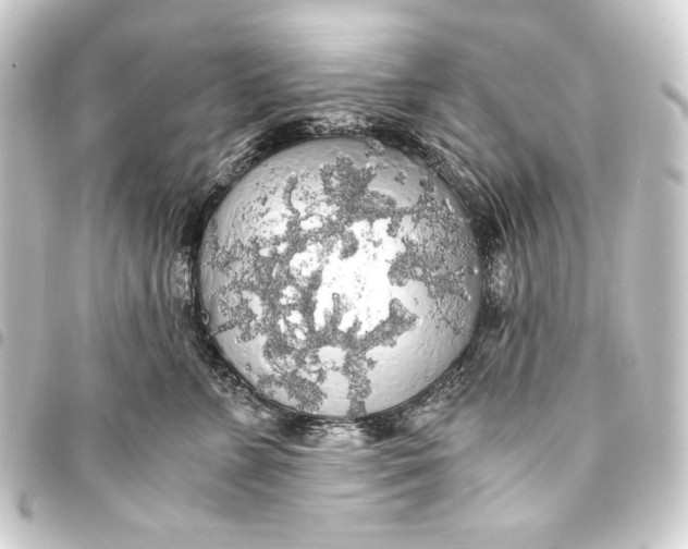 X0000093410715200711020955