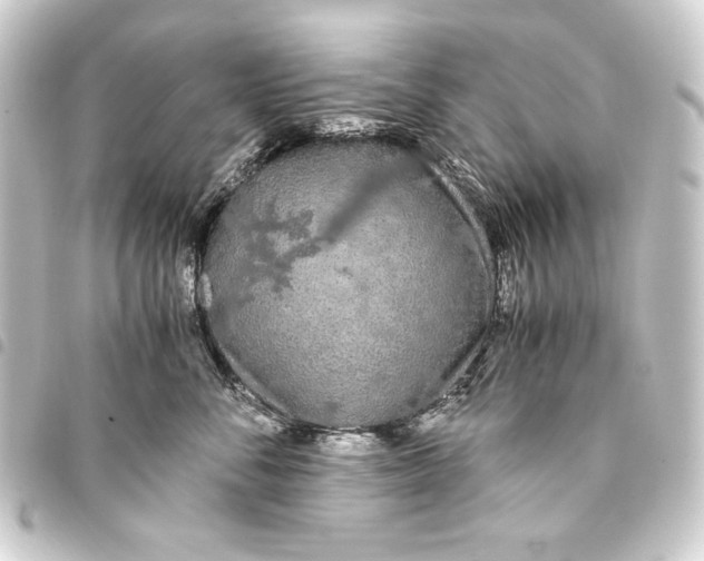 X0000093410716200711020955