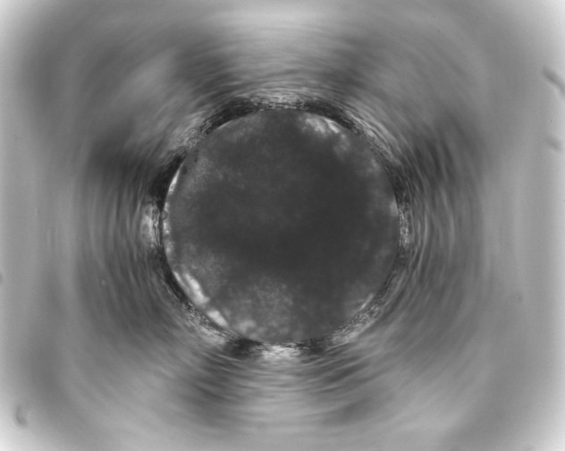 X0000093410718200711020955