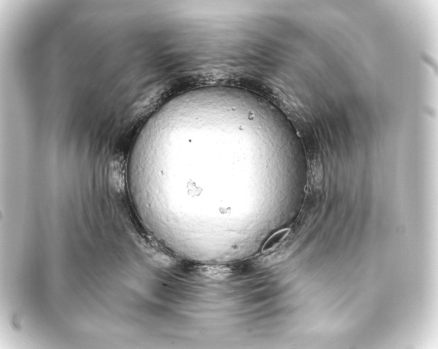 X0000093410719200711020955