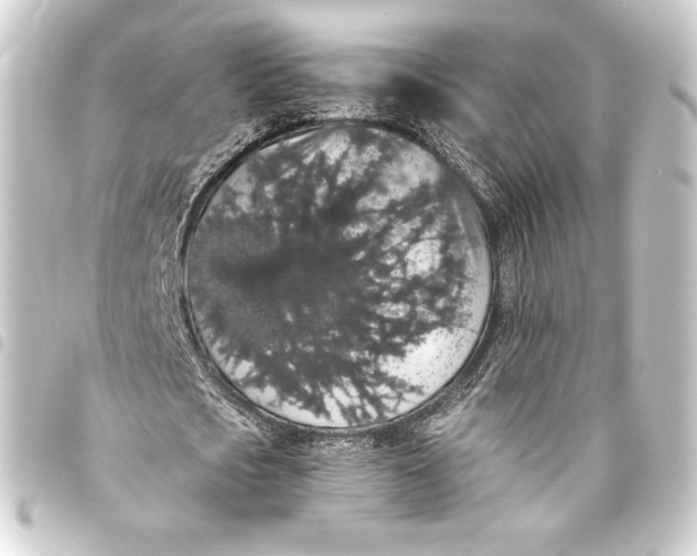 X0000093410721200711020954