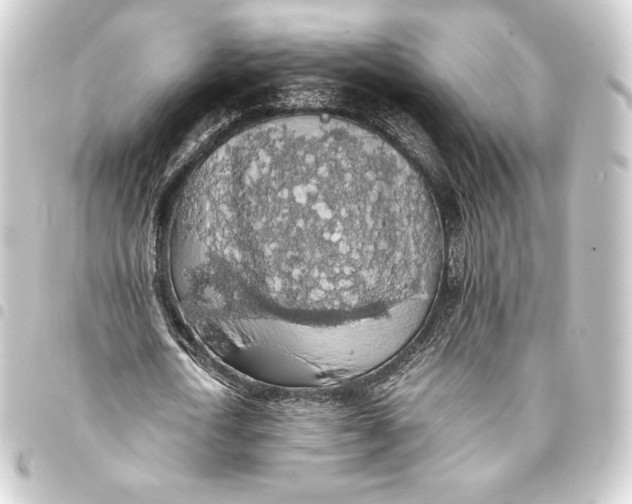 X0000093410722200711020954