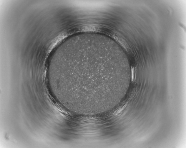 X0000093410723200711020954