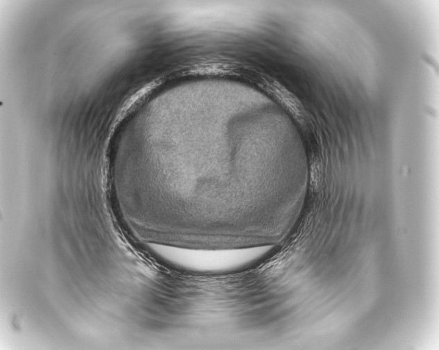 X0000093410724200711020954