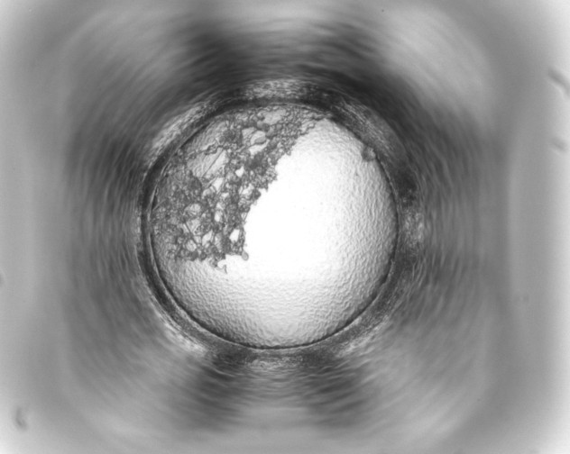 X0000093410725200711020954