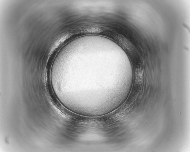 X0000093410726200711020954