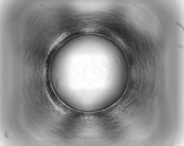 X0000093410730200711020954