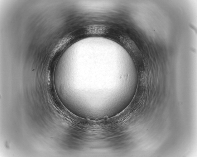 X0000093410731200711020954