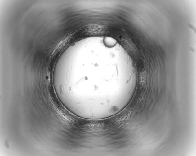 X0000093410733200711020954