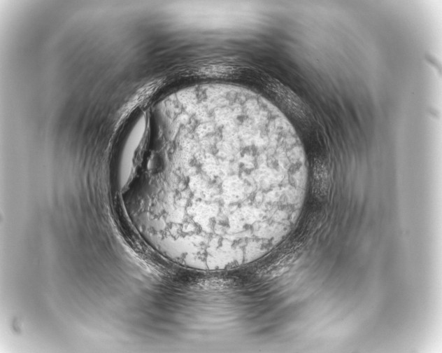 X0000093410734200711020954