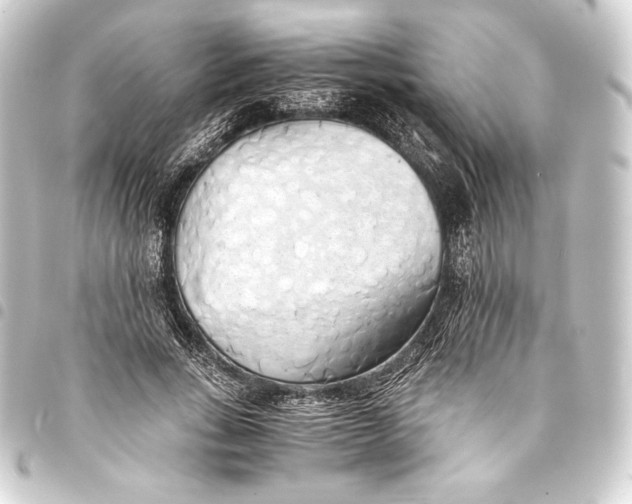 X0000093410735200711020954