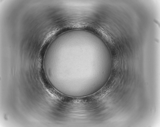 X0000093410736200711020954