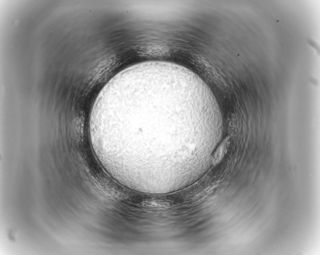 X0000093410739200711020955