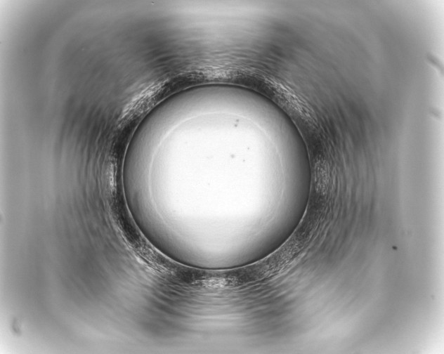 X0000093410740200711020955