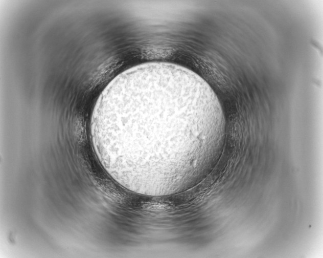 X0000093410743200711020955